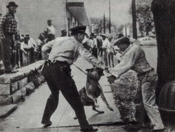 А вот эта 'демократия' в действии: полицейская расправа с неграми в Алабаме