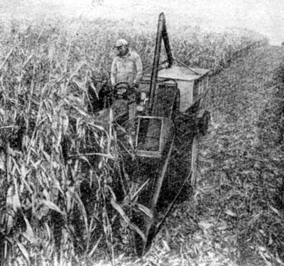 Уборка кукурузы двухрядным кукурузоуборочным комбайном